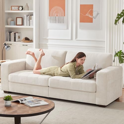 Ihanherry Modern Sofa Chenille Couch 2/3 Seats Loveseat