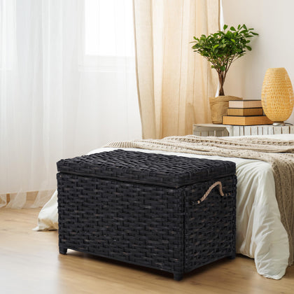 Wicker Storage Trunk
