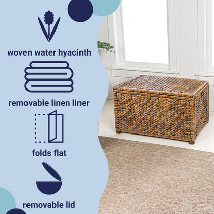 Wicker Storage Trunk