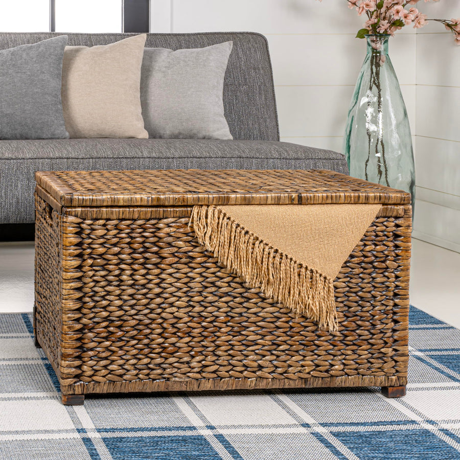 Wicker Storage Trunk